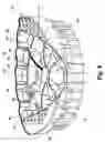 Fig. 07 - Method for repositioning articles in a washing machine
