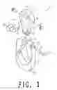 Fig. 02 - Palm type spanner