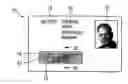 Fig. 01 - Data support with identifications written thereon by means of a laser beam and method for production thereof