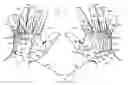 Fig. 01 - Finger-keyed human-machine interface device