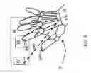 Fig. 07 - Finger-keyed human-machine interface device