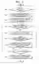 Fig. 07 - Terminal device having correction function for natural color and method thereof