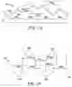Fig. 07 - Article having a birefringent surface and microstructured features having a variable pitch or angles and process for making the article