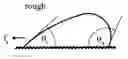 Fig. 01 - Carrier with anisotropic wetting surfaces