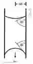 Fig. 07 - Carrier with anisotropic wetting surfaces