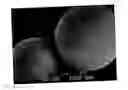 Fig. 01 - Toner having bumpy surface morphology