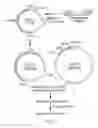 Fig. 02 - Topical administration permitting prolonged exposure of target cells to therapeutic and prophylactic nucleic acids