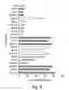 Fig. 09 - Immunostimulatory nucleic acids