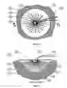 Fig. 08 - Wound cleansing apparatus with scaffold