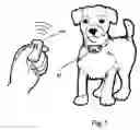 Fig. 02 - Electronic talking pet collar