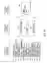 Fig. 24 - WS addressing protocol for web services message processing runtime framework