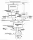 Fig. 02 - Hierarchical configurations in error-correcting computer systems