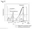Fig. 16 - Processing of moving picture data