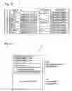 Fig. 19 - Processing of moving picture data