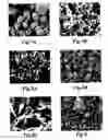 Fig. 03 - Methods for spherically granulating and agglomerating metal particles, and the metal particles prepared thereby, anodes made from the metal particles