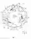 Fig. 02 - Concentric internal combustion rotary engine