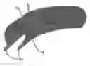 Fig. 01 - Bicycle tire with reinforcement layer
