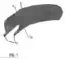 Fig. 02 - Bicycle tire with reinforcement layer