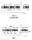 Fig. 02 - Apparatus and method of simultaneous fat suppression, magnetization transfer contrast, and spatial saturation for 3D time-of-flight imaging
