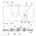 Fig. 09 - Sheet-like probe, process for producing the same and its application
