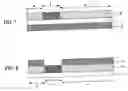 Fig. 02 - Hologram sheet and hologram observation sheet using same, and blinding device