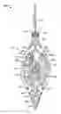 Fig. 01 - Decorating with a lighted device