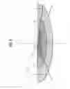 Fig. 07 - Lamp unit for a vehicle headlamp