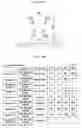 Fig. 08 - Vehicular lighting unit and vehicle with enhanced perceived accuracy