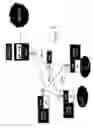 Fig. 07 - Infrastructure mesh networks