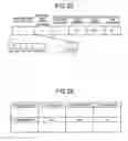 Fig. 22 - Transmitting apparatus and frame transfer method