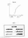 Fig. 09 - Apparatus and method for detecting document tampering