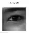 Fig. 10 - Image forming apparatus and method that identify halftone process parameter