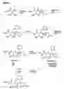 Fig. 02 - Diagnostic imaging agents with MMP inhibitory activity