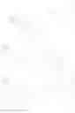 Fig. 23 - Trifunctional reagent for conjugation to a biomolecule