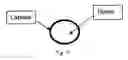 Fig. 02 - Capsule filled with honey