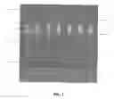 Fig. 02 - Tamper evident tape