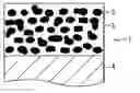 Fig. 01 - Magnetic thin film for high frequency, method of manufacturing the same, and magnetic device