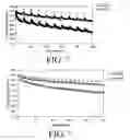 Fig. 06 - Battery having a highly compressed positive electrode