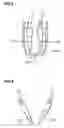 Fig. 09 - Rinse treatment method, developing treatment method and developing apparatus