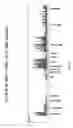 Fig. 197 - Novel genetic markers for leukemias