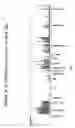 Fig. 85 - Novel genetic markers for leukemias