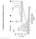 Fig. 08 - Multiplex screening for lysosomal storage disorders (LSDs)