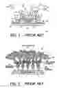 Fig. 02 - Label-free detection of biomolecules