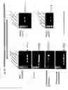 Fig. 07 - Dedifferentiated, programmable stem cells of monocytic origin, and their production and use