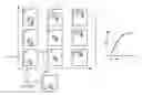 Fig. 01 - Device and method for providing an angiographic image