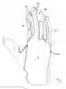 Fig. 01 - Glove with improved comfort and method of making same