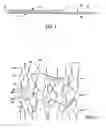 Fig. 02 - Composite article having hydrophilic properties and method of manufacture
