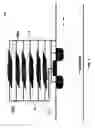 Fig. 10 - Semiconductor decoupling capacitor