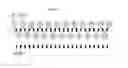 Fig. 03 - Interlaced linear array sampling technique for electromagnetic wave imaging