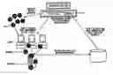 Fig. 01 - Method and apparatus for predictively and graphically administering a networked system in a time dimension